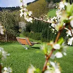 Buehlbauernhof * באד פטרסטאל-גריסבאך