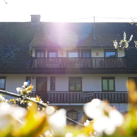 Buehlbauernhof Bad Peterstal-Griesbach