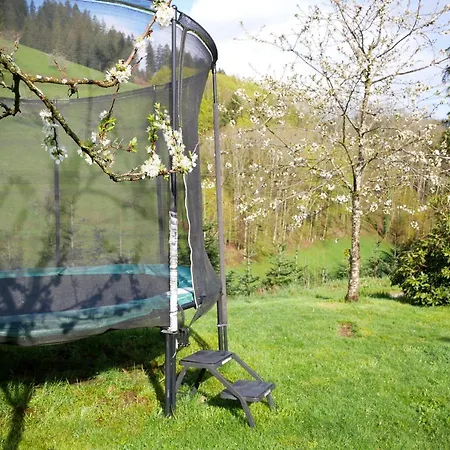 Buehlbauernhof * Bad Peterstal-Griesbach