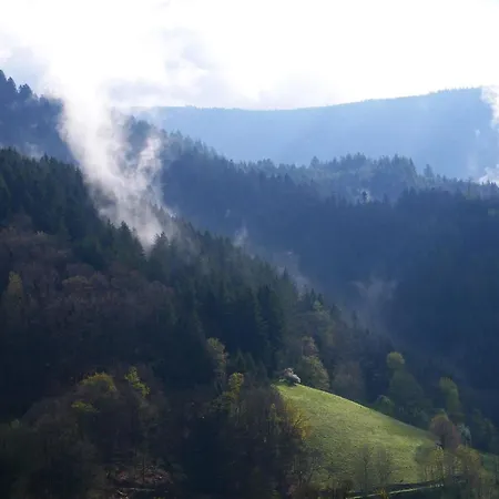 Buehlbauernhof Farm stay *