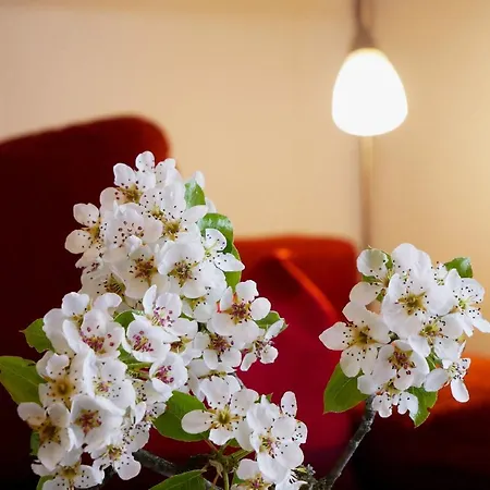 Buehlbauernhof Farm stay Bad Peterstal-Griesbach