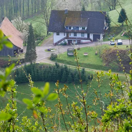 Buehlbauernhof Bad Peterstal-Griesbach