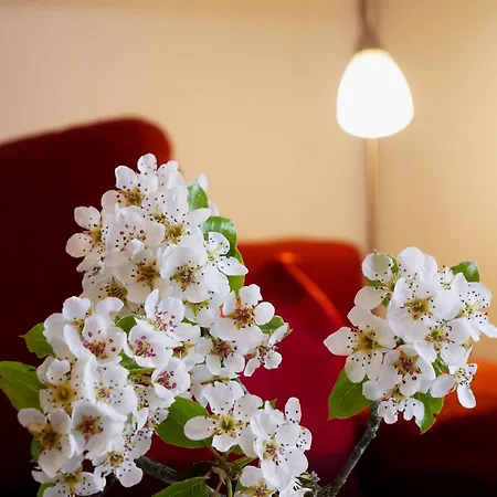 Farm stay Buehlbauernhof
