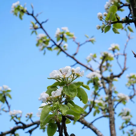 Buehlbauernhof Séjour à la ferme *
