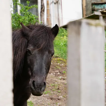 Séjour à la ferme Buehlbauernhof