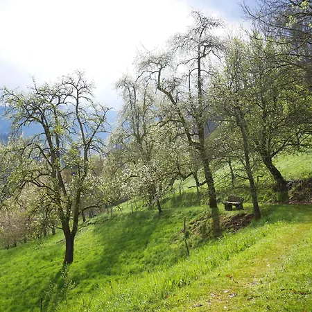 Vakantieboerderij Buehlbauernhof